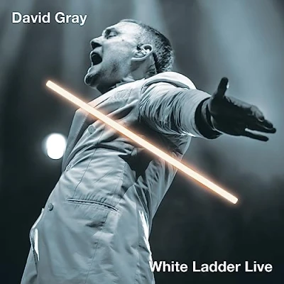 Afbeelding van David Gray White Ladder Live (LP)