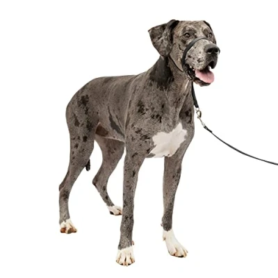 Afbeelding van PetSafe Gentle Leader Hoofdkraag, X Large, Zwart