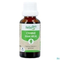 Afbeelding van HerbalGem Charme Organic 30 ml