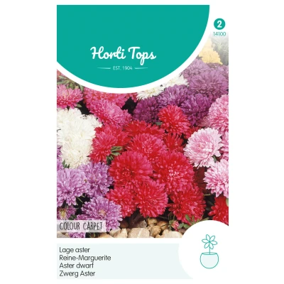 Afbeelding van Callistephus, Dwerg Aster Colour Carpet gemengd