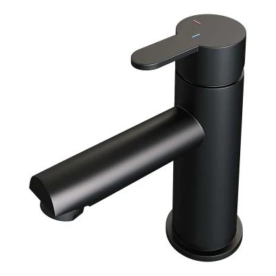 Afbeelding van Brauer BlackEdition Wastafelmengkraan opbouw laag model d mat zwart