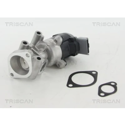 Afbeelding van Triscan EGR klep 8813 10009