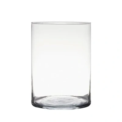 Afbeelding van Transparante home basics cilinder vorm vaas/vazen van glas 25 x 18 cm Vazen