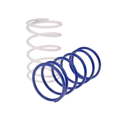 Afbeelding van Drukveer set Polini Evolution Gilera &amp; Piaggio