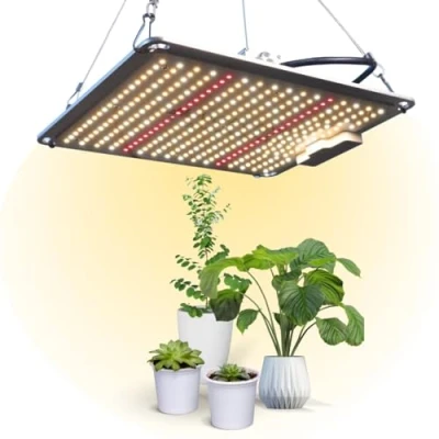 Afbeelding van Mobiclinic®, Kweeklamp, Plantenlamp, GrowLight, 700W, Groeilamp LED full spectrumspectrum, 10 niveaus dimbaar, High End, Dimfunctie, Efficiëntie 2,8 mmol/J, Kamerplanten, groenten, Bloemen