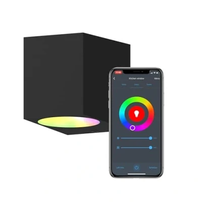 Afbeelding van Calex Slimme LED Wandlamp Downlight Zwart Smart Buitenlamp App Bedienbaar Voor binnen en Buiten