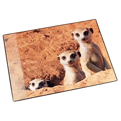 Afbeelding van Läufer 46596 Bureauonderlegger, stokstaart, 53 x 40 cm, antislip onderlegger voor kinderen, accessoires kinderbureau, met transparant zijvak