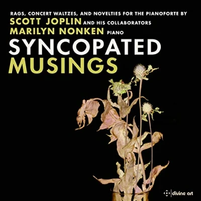 Afbeelding van Marilyn Nonken Syncopated Musings: Rags, Concert Waltzes And Nove (CD)