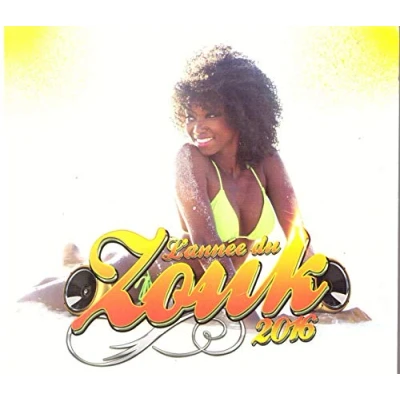 Afbeelding van Various Artists L&#039;Année Du Zouk 2016 (2 CD)