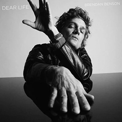 Afbeelding van Brendan Benson Dear Life (LP)