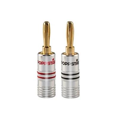 Afbeelding van Poppstar 2x High End Bananenstekker, voor Luidsprekerkabel (tot 6 mm²), Speakers, Luidspreker, AV Receiver, 24k Vergulde Contacten (1x zwart, 1x rood)