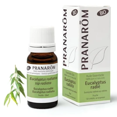 Afbeelding van Pranarôm Eucalyptus Radié Etherische Olie (Eucalyptus Radiata) Bio 10 ml