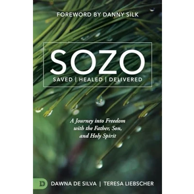 Afbeelding van SOZO Saved Healed Delivered: A Journey into Freedom with the Father, Son, and Holy Spirit