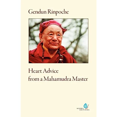 Afbeelding van Heart Advice from a Mahamudra Master
