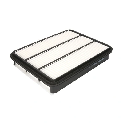 Afbeelding van Filtron Luchtfilter AP 143/2
