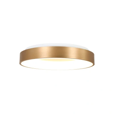 Afbeelding van Steinhauer plafondlamp Ringlede 1 lichts 38x9 cm goud