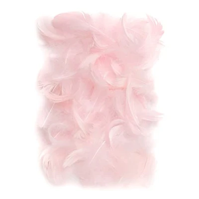 Afbeelding van Netuno 150 stuks roze decoratieve veren, 10 g pluisveren, sieradenveren, vogelveren, knutselveren, natuur, voor doe het zelf knutselen, decoratie, Pasen, Kerstmis, decoratiefiguur