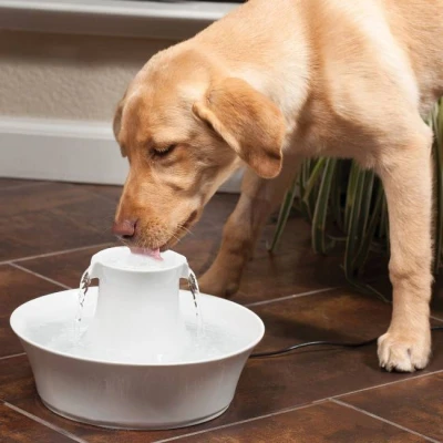 Afbeelding van Petsafe Drinkfontein Drinkwell Avalon
