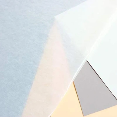 Afbeelding van Clairefontaine 93478C verpakking (met 20 vellen pergamijnpapier 45 g, 50 x 65 cm, 100% recyclebaar, ter bescherming van twee pastelbladen of geschikt als tussenbladen Herbaria), transparant