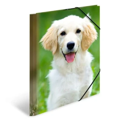 Afbeelding van 3x Elastomappen A4 PP Canine