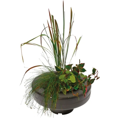 Afbeelding van Floating Plant Basket diameter 22 Cm vijver SuperFish