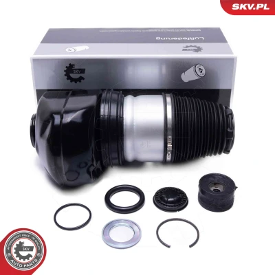 Afbeelding van ESEN SKV 58SKV093 Luchtvering, chassis Vooras, Aan beide zijden BMW: 7 (G11, G12) 730 d, Ld xDrive, 750 i, Li 730d xDrive 3.0, 740 d