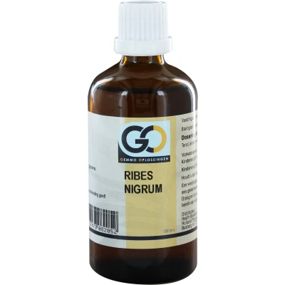 Afbeelding van GO Ribes nigrum BIO 100 milliliter Gemmotherapiepreparaat