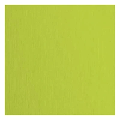 Afbeelding van Vaessen Creative Florence Cardstock papier, groen, 216 gram/m², vierkant, 30,5 x cm, 20 stuks, textuur, voor scrapbooking, kaarten maken, stansen en ander papierhandwerk