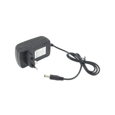 Afbeelding van TEMPO DI SALDI 2 ampère 12 volt voeding voor 2,1/5,5 mm CCTV camera en ledstrip