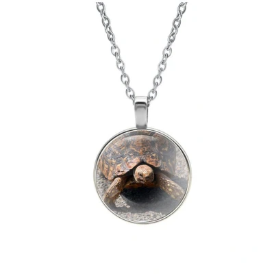 Afbeelding van Ketting Glas Schildpad