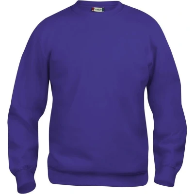 Afbeelding van Clique Basic Roundneck 021030 Helder Lila