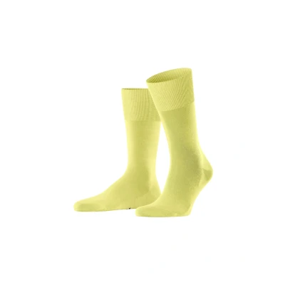 Afbeelding van FALKE Sokken ClimaWool