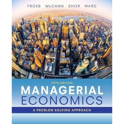 Afbeelding van Managerial Economics: A Problem Solving Approach