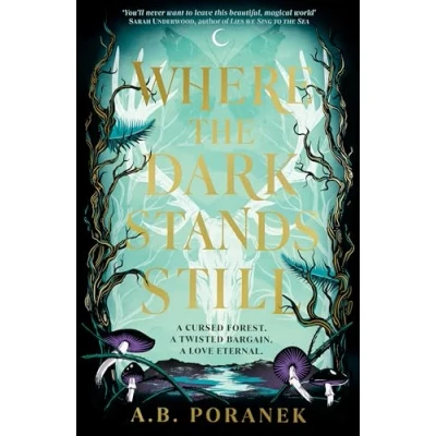 Afbeelding van Where the Dark Stands Still: A sweeping, gothic YA fairytale romance