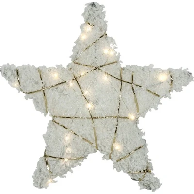 Afbeelding van Kerstster met 20 leds warm wit sneeuw glittergoud