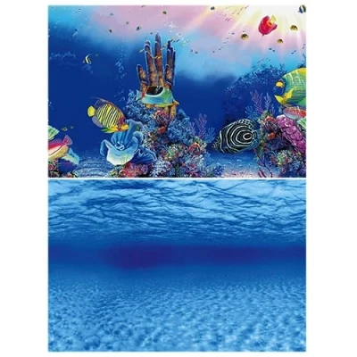 Afbeelding van Superfish Deco Poster F6 150x61 cm