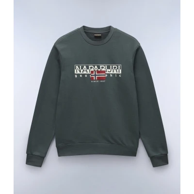 Afbeelding van Napapijri Baylmer C WINT Sweater, Heren, Maat: Small, Green urban