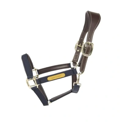 Afbeelding van Kentucky Horsewear Anatomisch Halster Marine Nylon Maat Full