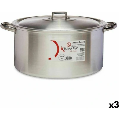 Afbeelding van Kookpot met Deksel Zilverkleurig Aluminium 20 L (3 Stuks)