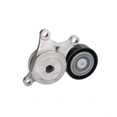 Afbeelding van Spanrol, Poly V riem SKF VKM 38515