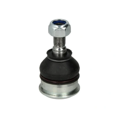 Afbeelding van Moog Fuseekogel ME BJ 10749