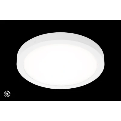 Afbeelding van Briloner Leuchten LED plafondlamp opbouw armatuur met neutraal witte lichtkleur, 21 Watt, 2.000 Lumen, 4.000 Kelvin, rond chroom mat, Ø 30cm