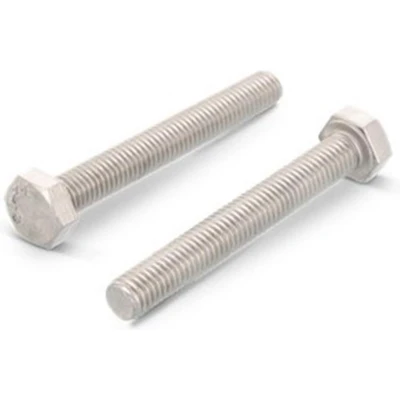 Afbeelding van Zeskantbout M10 x 45 mm DIN 933 RVS A4 SW17 (100 stuks)