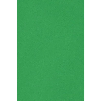 Afbeelding van Netuno 10 karton A3 297x420mm groen 250g Burano Verde Bandiera voor kaarten scrapbooking knutselen decoreren uitnodigingen handwerk