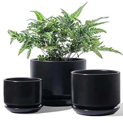 Afbeelding van LE TAUCI 3 pack Keramische Plantenbakken, 11+13+17 cm diameter Kleine Pot Set, Bloempot voor Kamerplanten met Schotel en Drainagegat, Zwart