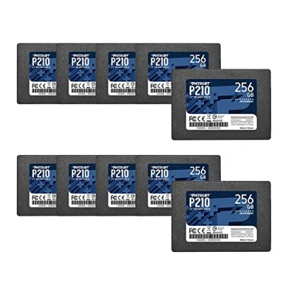 Afbeelding van Patriot P210 SATA 3 256GB SSD, interne Solid State Drive, 2,5 inch, 10 pack, hoeveelheid van P210S256G2510