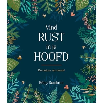 Afbeelding van Vind rust in je hoofd (Hardback)