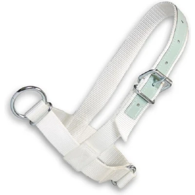 Afbeelding van Halster Kalf Nylon Wit met leer
