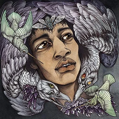 Afbeelding van The Best Of James Marshall Hendrix (Redux)