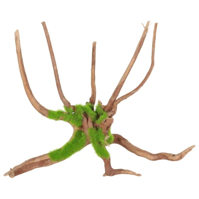 Afbeelding van Zolux Groeiend Decor Spider Root M Aquarium Ornament 23.9x27.5x17.5 cm